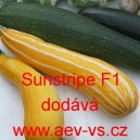 Tykev obecná cuketa hybridní Sunstripe F1