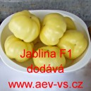 Paprika roční rajčinová hybridní Jablina F1