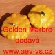 Patizon (Tykev obecná) Golden Marbre