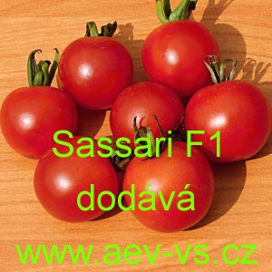 Rajče tyčkové hybridní Sassari F1