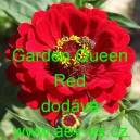 Ostálka sličná, lepá Garden Queen Red