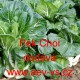 Čínské zelí Pak Choi White