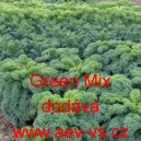 Kapusta kadeřavá kadeřávek zelený Green Mix