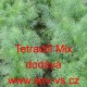 Kopr vonný tetra Tetradill Mix