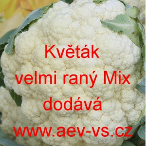 Květák velmi raný Mix