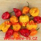 Paprika pálivá čilí Habanero Mix