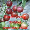 Rajče tyčkové Black Cherry