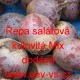 Řepa červená salátová kulovitá Mix