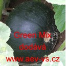 Tykev obecná cuketa kulatá Green Mix