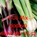 Cibulka zimní pórková Duo Mix