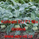 Kedluben bílý hybridní raný Kohlrabi EU F1 Mix