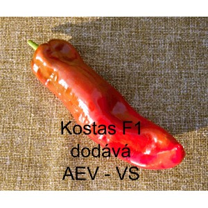 Paprika roční zeleninová hybridní Kostas F1